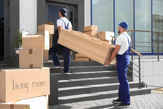 Professional movers in Pretoria