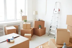 Choose a moving company in Pretoria