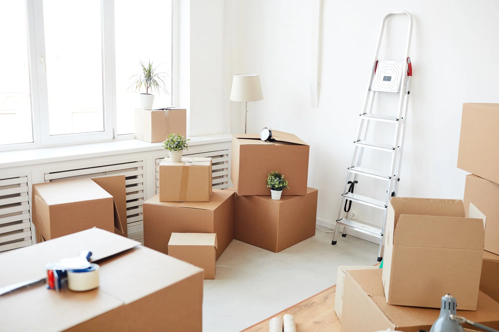 Choose a moving company in Pretoria